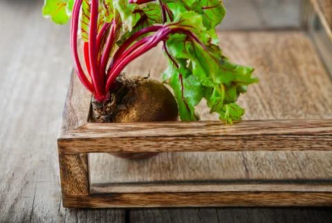 Raw Organic Beet Stock Photos