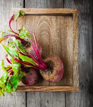 Raw Organic Beets Stock Photos