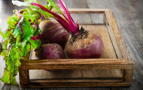 Raw Organic Beets Stock Photos