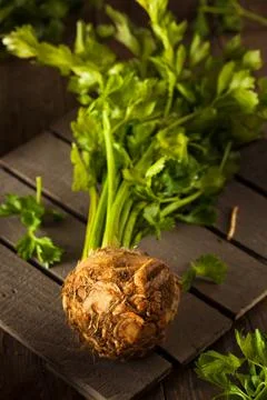 Raw Organic Celery Root Ready to Cut Stock Photos
