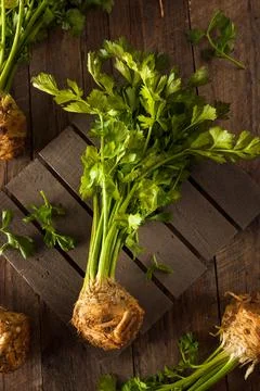 Raw Organic Celery Root Ready to Cut Stock Photos