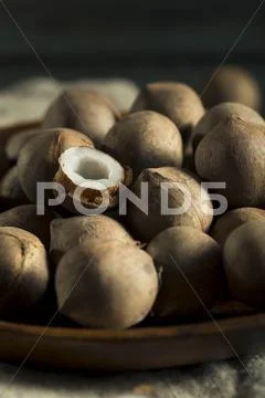 Raw Organic Coconut Coquito Nuts Stock Photos