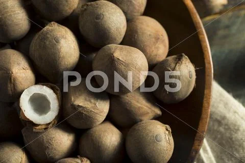 Raw Organic Coconut Coquito Nuts Stock Photos