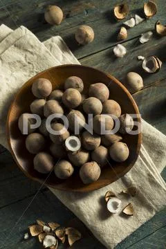 Raw Organic Coconut Coquito Nuts Stock Photos