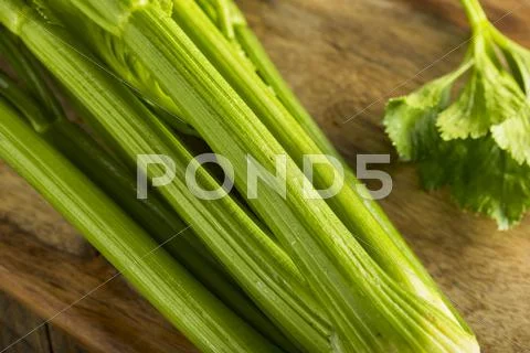 Raw Organic Green Celery Stalks Stock Photos