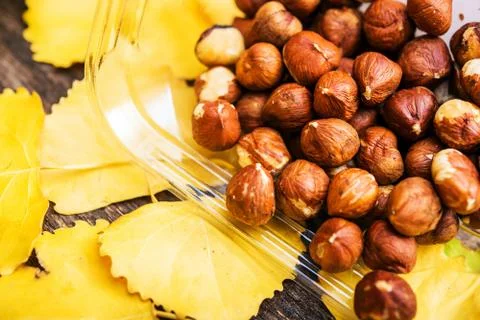 Raw organic hazelnuts in the clear plastic box Stock Photos
