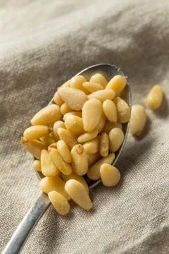 Raw Organic Pine Nuts Foto stock