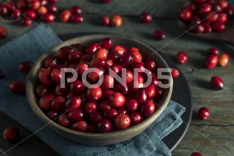 Raw Organic Red Cranberries Stock Photos