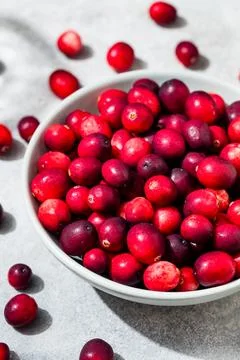 Raw Organic Red Cranberries Stock Photos