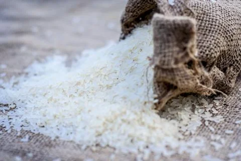 Raw organic rice,Oryza sativa, coming out from a gunny bag. Stock Photos