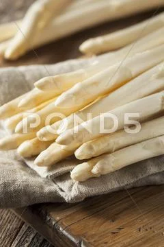 Raw Organic White Asparagus Spears Stock Photos