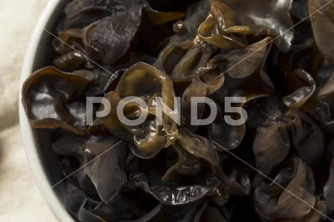 Raw Organic Wood Ear Mushrooms Stock Photos