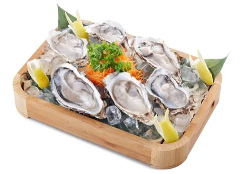 Raw oyster Stock Photos