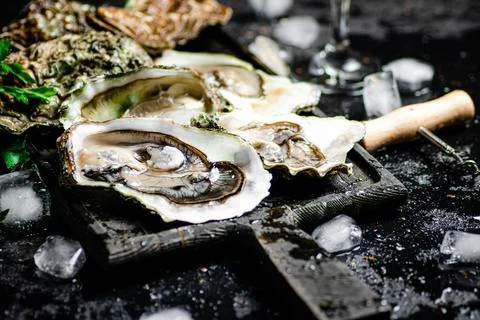 Raw oysters with ice on an cutting board. Stock Photos
