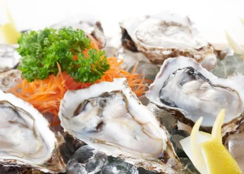 Raw oysters Stock Photos