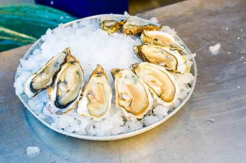 Raw oysters Stock Photos