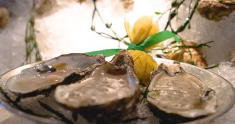 Raw Oysters on Platter Stock Footage 88238891