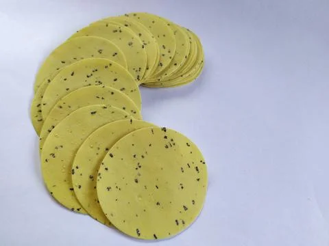 Raw papad on white background. Stock Photos