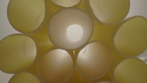 Raw Pasta Stock Footage 282645245