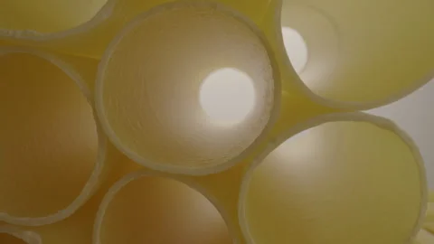 Raw Pasta Stock Footage 282645383