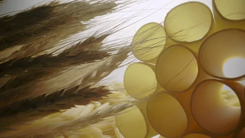 Raw Pasta Stock Footage 282645398