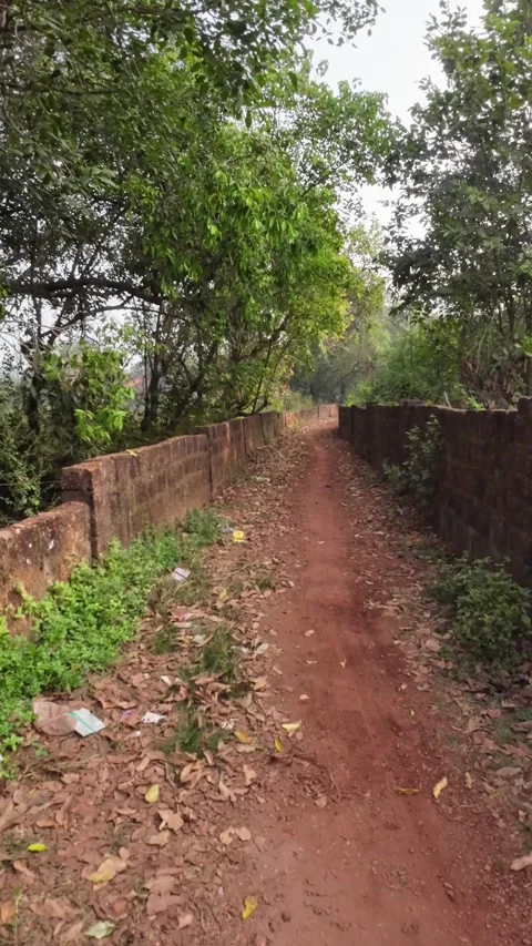 Raw Path Way In Country Side Rural Area With Dirty Red Mud Stock Footage 299798204