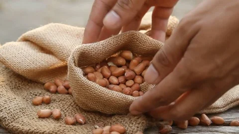 Raw peanut and farmer hand Stock Footage 79670187