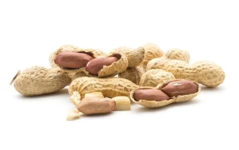 Raw peanut isolated on white Stock Photos