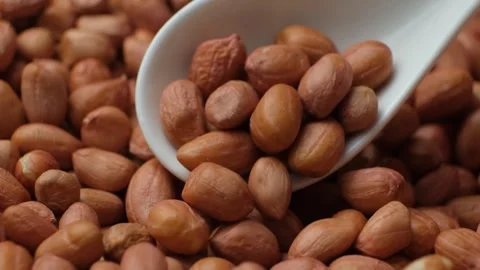 Raw peanut kernels in brown peel in a spoon close-up. Stock Footage 306056112