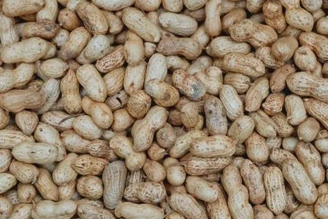Raw Peanuts background texture Stock Photos