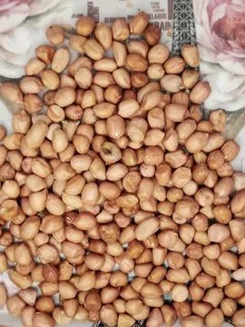 Raw Peanuts in a Container Ready for Processing Stock Photos