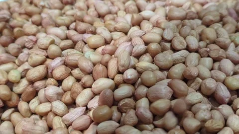 Raw Peanuts Falling From Above - Pouring Shelled Groundnuts into Pile 库存影片 333565137
