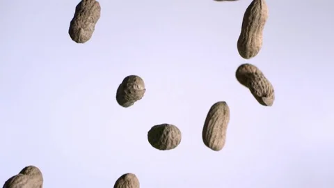 Raw peanuts falling in slow motion against white background Stock Footage 81311198