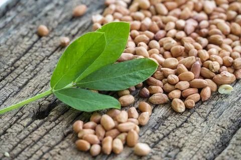 Raw peanuts with green leaves on rustic wooden background Stockfoto's