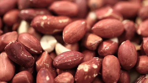 Raw peanuts in the husk 스톡 동영상 94740277