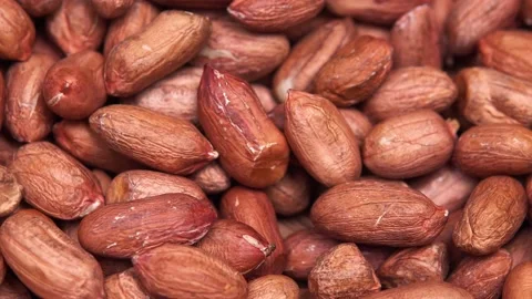 Raw peanuts in the husk rotates in a circle close-up Stock Footage 135514631