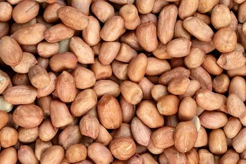 Raw peanuts isolated on white background 库存照片