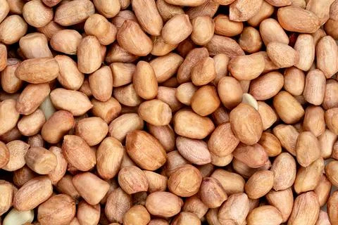 Raw peanuts isolated on white background 库存照片