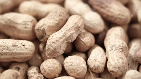 Raw peanuts in the peel Stock Footage 94740198