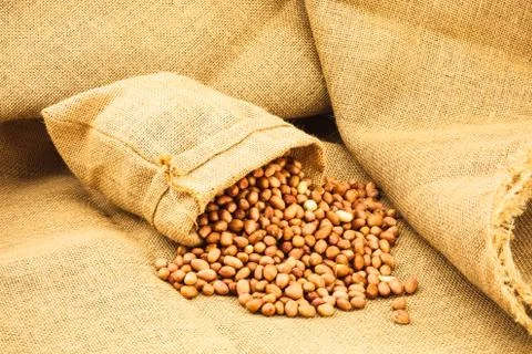 Raw peanuts Stock Photos
