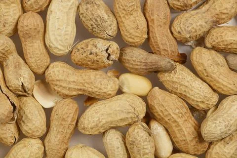 Raw peanuts Stock Photos