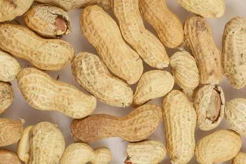 Raw peanuts Stock Photos