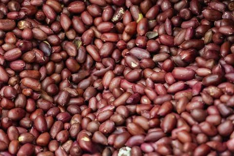 Raw Peanuts with Red Skins Close-Up Foto stock