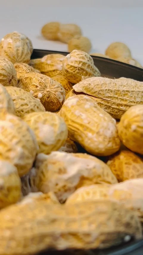 Raw peanuts in shell in dark plate, white background, vertical format Stock Footage 336471746