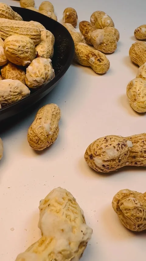 Raw peanuts in shell in dark plate, white background, vertical format, close up Stock Footage 336471786