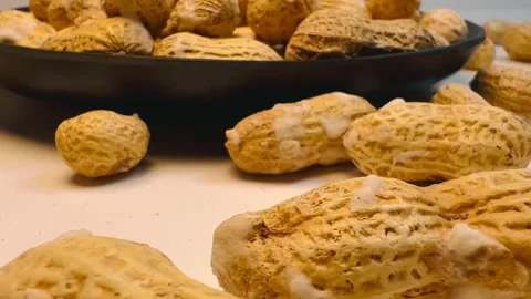 Raw peanuts in shell in dark plate, white background, horizontal format Stock Footage 336471789