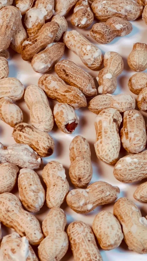 Raw peanuts in shell on white background, vertical format, close up view Stock Footage 336471737