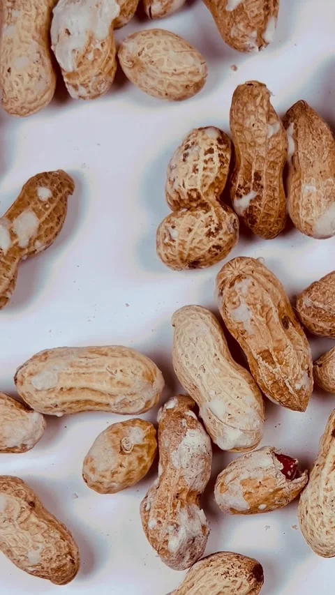 Raw peanuts in shell on white background, vertical format, close up view Stock Footage 336471738