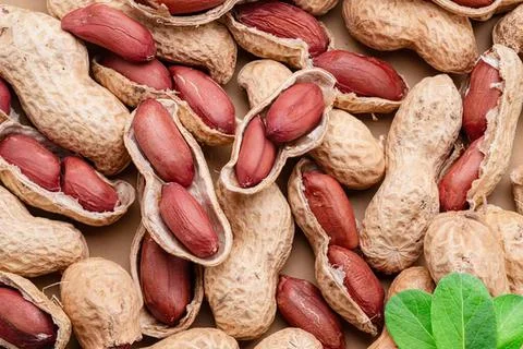 Raw peanuts with shells and red skins in a close-up Stock Photos