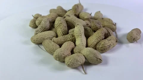 Raw Peanuts With Shells Isolated On White Stock Footage 296725202